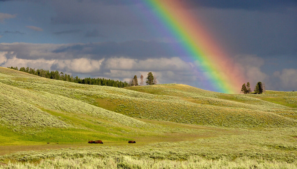 Rainbow Bridge