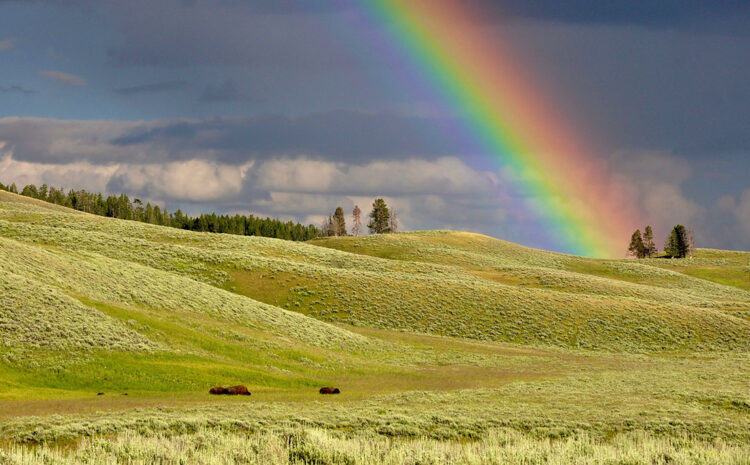  Rainbow Bridge