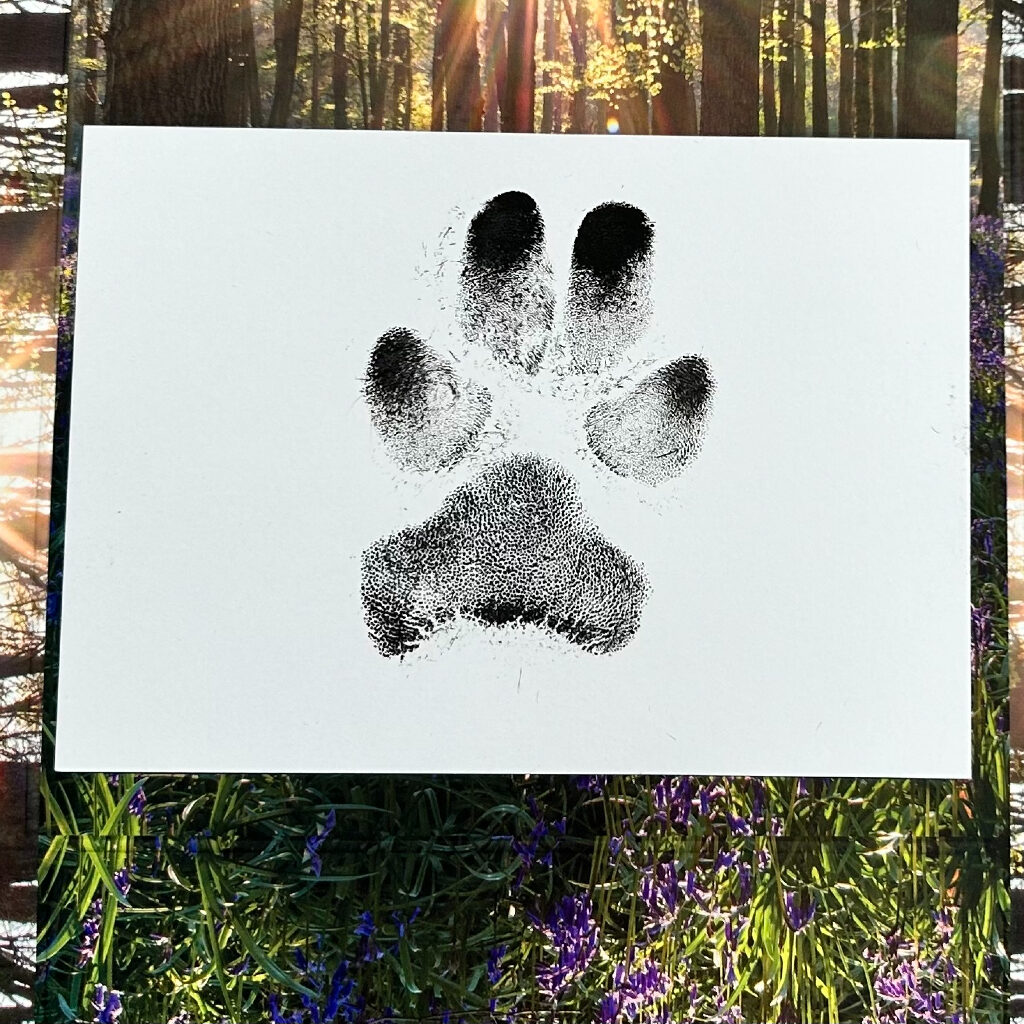 Remembrance Memorial Paw Print Aughton Meadows
