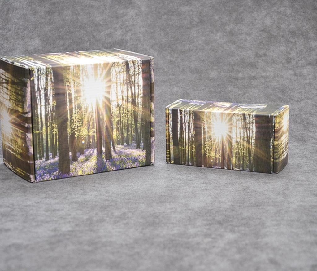 Scatter Boxes